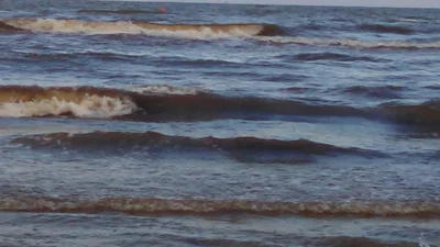 Galveston County - Photo 5