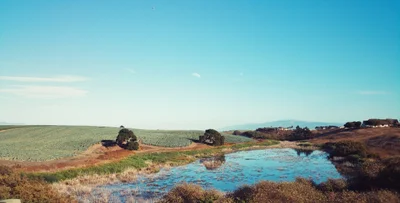 Castroville - Photo 3