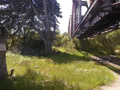 Castroville - Photo 5