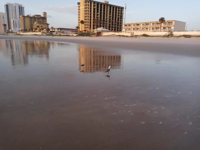 Daytona Beach Shores - Photo 2