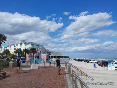 Volusia County - Photo 3