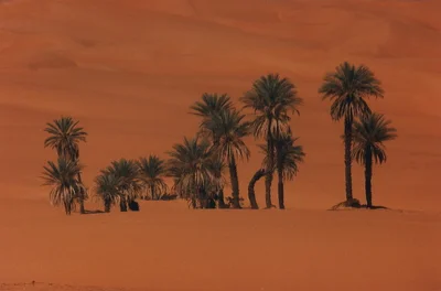 Awbari - Photo 4