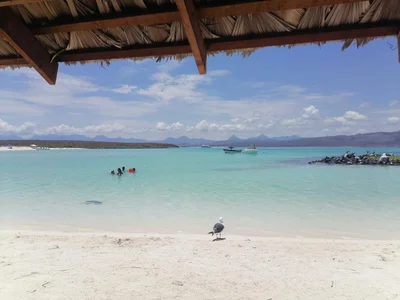 Isla Coronado - Photo 3