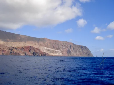 Guadalupe Island - Photo 3