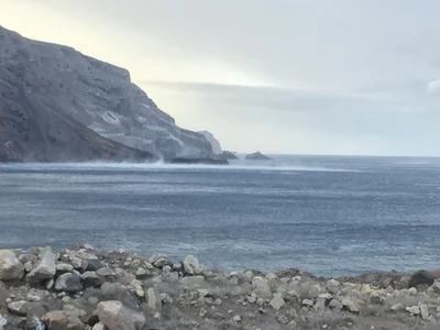 Guadalupe Island - Photo 4