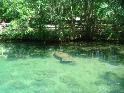 Citrus County - Photo 2
