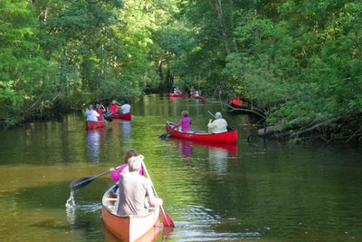 Citrus County - Photo 3
