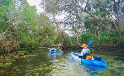 Citrus County - Photo 4