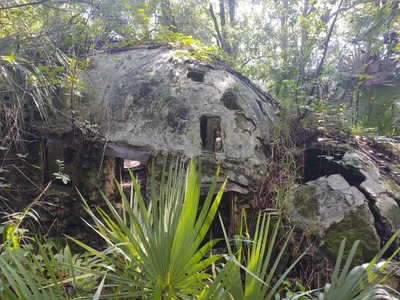 Oak Hill - Photo 3