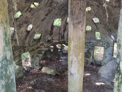 Oak Hill - Photo 4