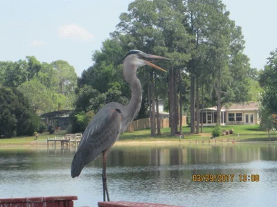 Seminole County - Photo 4