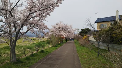 Date - Photo 4