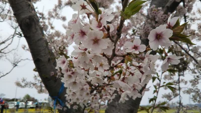Date - Photo 5