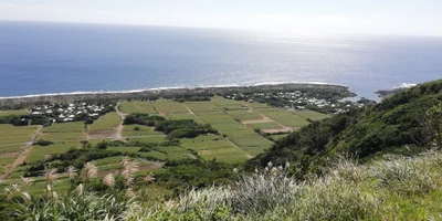 Kikai - Photo 2