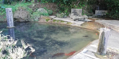 Kikai - Photo 3