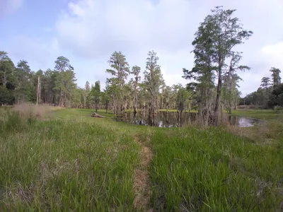 Keystone - Photo 2