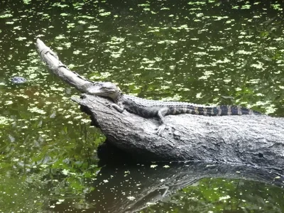 Hillsborough County - Photo 3