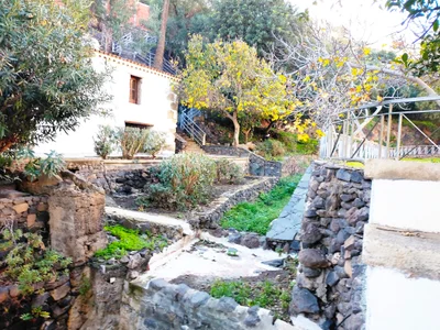 Ingenio - Photo 2