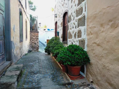 Ingenio - Photo 3