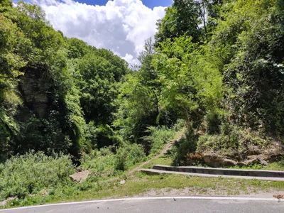 Dzonkhag Thromde - Photo 2