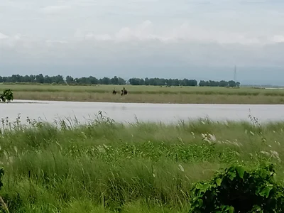 Baishakhe - Photo 2