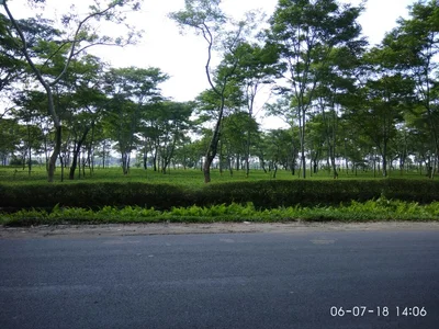 Bordubi - Photo 5