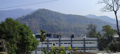 Singtam - Photo 4