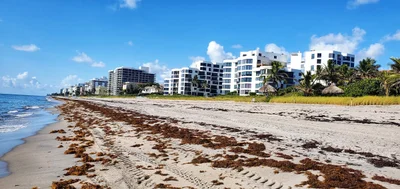 Palm Beach County - Photo 4