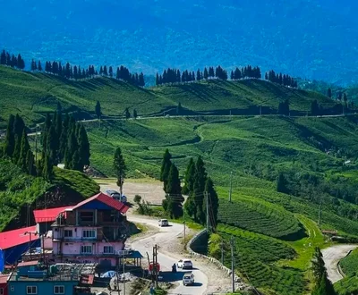 Ilam - Photo 5
