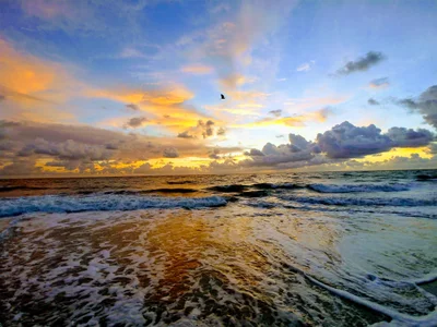 Juno Beach - Photo 2
