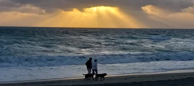 Juno Beach - Photo 5
