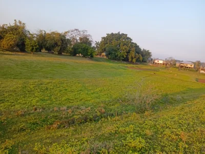 Bokakhat - Photo 2