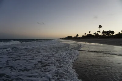 Ocean Ridge - Photo 2