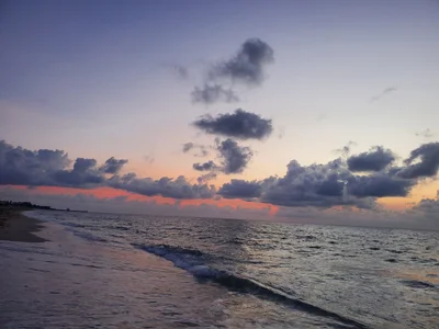 Ocean Ridge - Photo 3