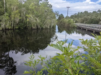 Big Cypress - Photo 3