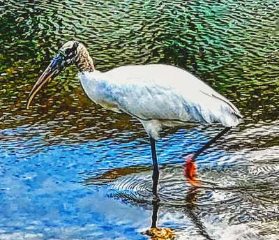 Coconut Creek - Photo 5