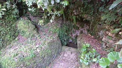 Nakagusuku - Photo 3