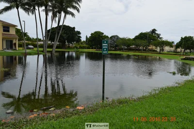 Tamarac - Photo 4