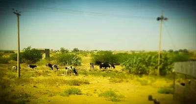 Nag al Hibeil - Photo 2