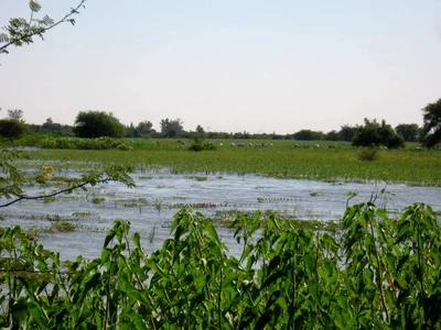 Nag al Hibeil - Photo 4