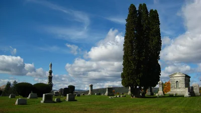 Olean - Photo 3