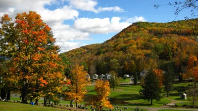 Olean - Photo 4