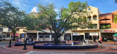 Miami Lakes - Photo 5