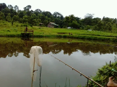 Umsning - Photo 5