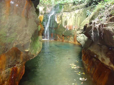 Baghmara - Photo 2
