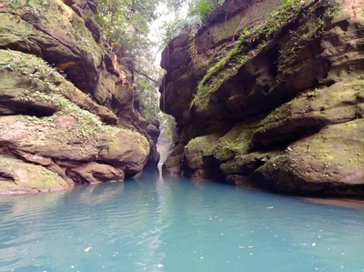 Baghmara - Photo 3