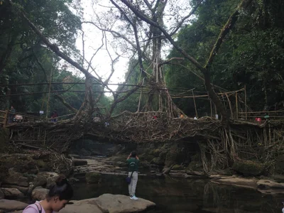 Nohwet Village - Photo 3