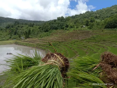 Ukhrul subdivision - Photo 4