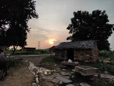 Bokaria - Photo 3