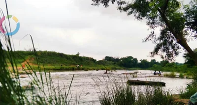 Bokaria - Photo 5